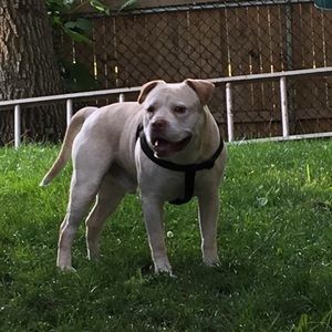 Meet your Posher, Timothy